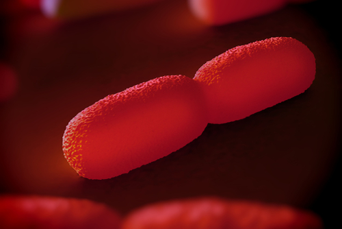 Risk Listeria